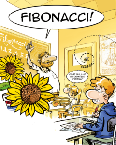 Dossier maths : La suite de Fibonacci