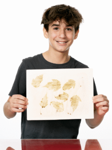 Expérience : Une photo végétale!