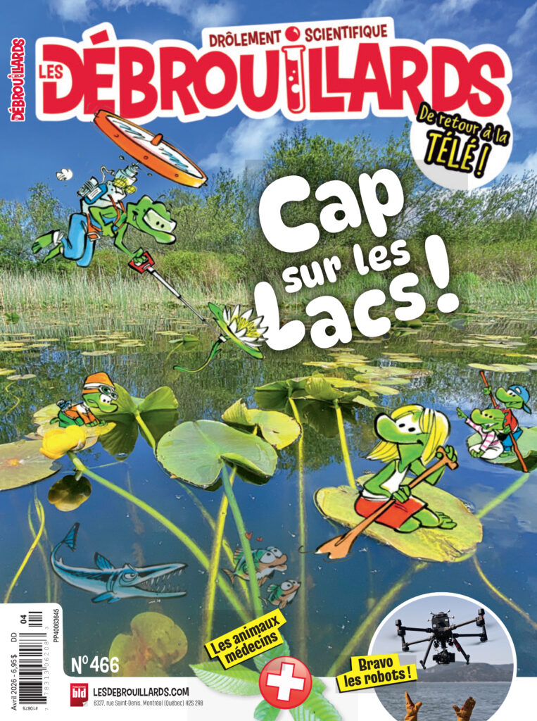 Sondage Les Débrouillards avril 2026