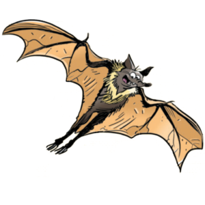 Chauves-souris à l&rsquo;abri!